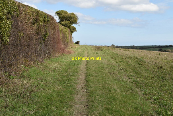 Photo 6"x4" White Cliffs Country Trail East Studdal c2020 P4