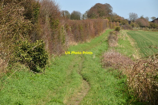 Photo 6"x4" White Cliffs Country Trail East Studdal c2020 P5