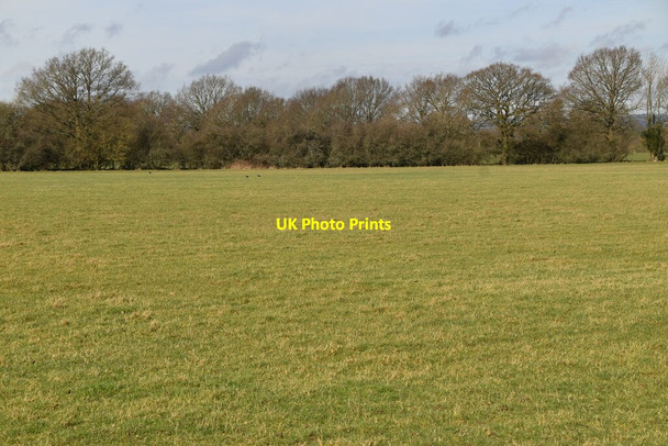 Photo 6"x4" Pasture near Starborough Manor Haxted c2021