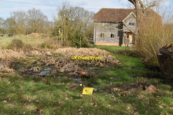 Photo 6"x4" Pond, Cerne Farm Haxted c2021