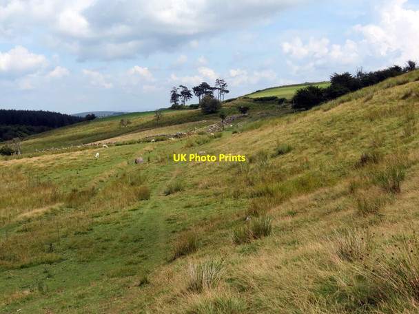 Photo 6"x4" Llwybr ceffyl Blaenau Uchaf \/ Blaenau Uchaf bridleway Cwmwysg c2021