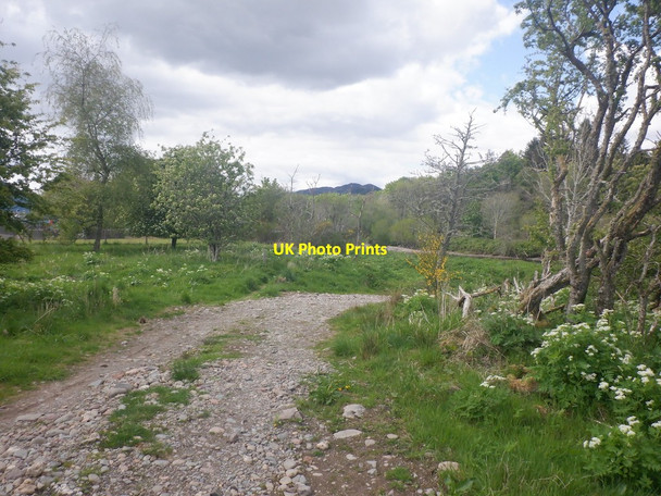 Photo 6"x4" Track beside Comrie sewage works Dalginross c2021