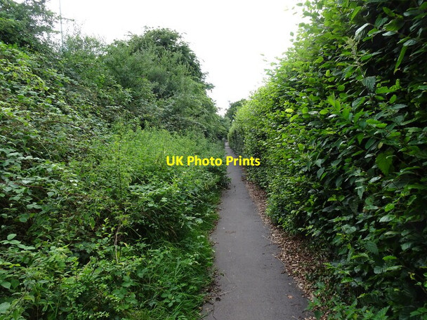 Photo 6"x4" Planks Lane Path Blakeley\/SO8692 c2021