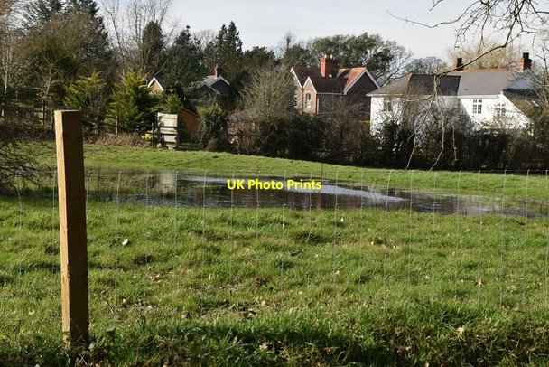 Photo 6"x4" Small pond Lingfield Common c2021