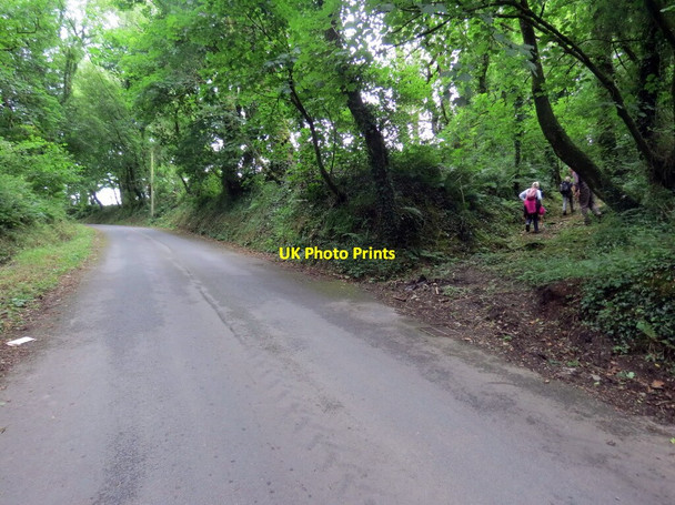 Photo 6"x4" Llwybr Ceffyl yn gadael yr heol \/ A bridleway exiting a road Henry's Moat c2021
