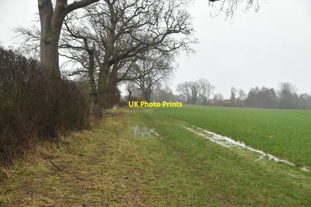 Photo 6"x4" Saxon Shore Way Stone in Oxney c2020
