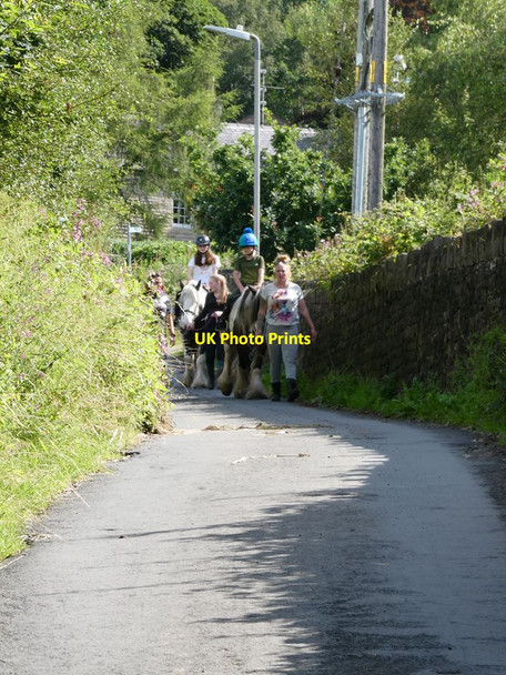 Photo 6"x4" Horses  on Factory Hill Horwich c2021