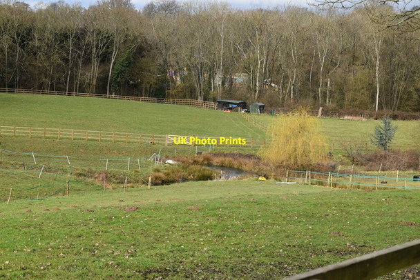 Photo 6"x4" Pond, Burleigh Arches Farm Crawley Down\/TQ3437 c2021