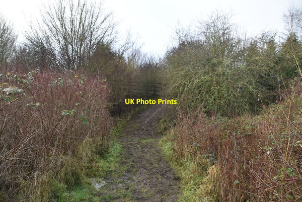 Photo 6"x4" Muddy bridleway Kemsing c2021