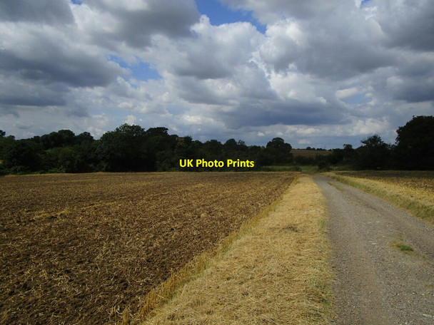 Photo 6"x4" Bridleway to Badley church Battisford c2021 P1