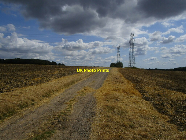 Photo 6"x4" Bridleway and pylons near Badley Battisford c2021