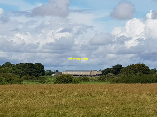 Photo 6"x4" Looking towards Marsh Farm Pagham c2021