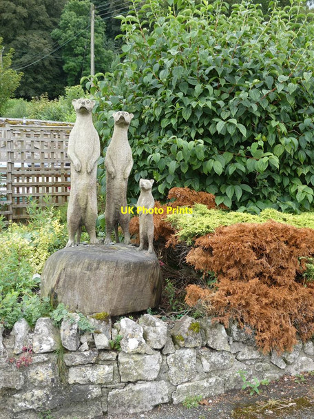Photo 6"x4" Meerkats at the Harp Inn Old Radnor c2021
