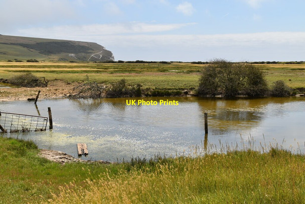 Photo 6"x4" Marshy pond by Vanguard Way Exceat c2020