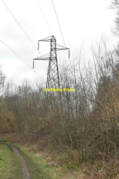 Photo 6"x4" Pylon, Minepit Wood West Hoathly c2021