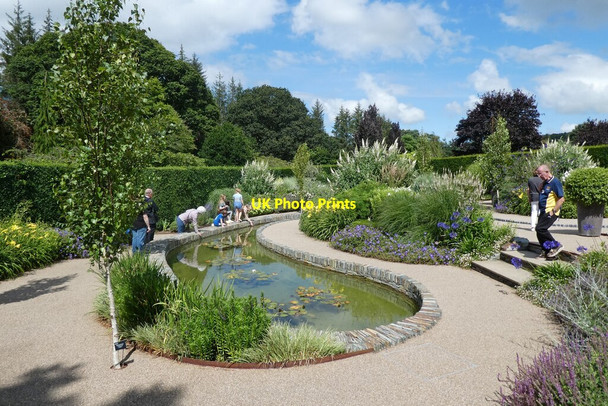 Photo 6"x4" Pond and borders at RHS Rosemoor Great Torrington c2021