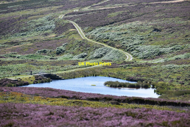 Photo 6"x4" Pond on Gill Beck Burnsall c2021