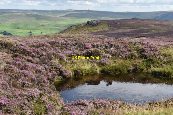 Photo 6"x4" Small pond on Thorpe Fell Thorpe\/SE0161 c2021