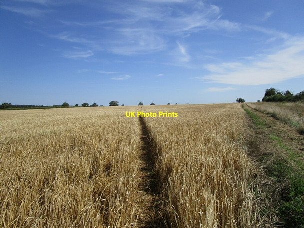 Photo 6"x4" Bridleway to Ingthorpe Ingthorpe c2021