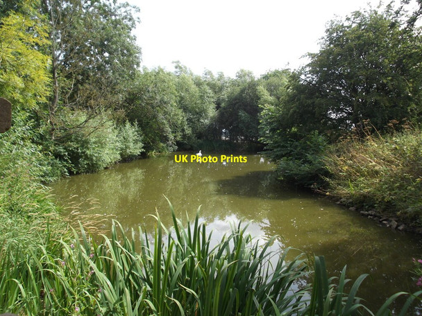 Photo 6"x4" The pond at Riseborough Hall Marton\/SE7383 c2021