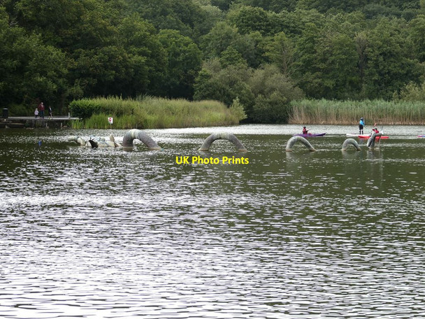 Photo 6"x4" Here be monsters Llandrindod Wells\/Llandrindod c2021