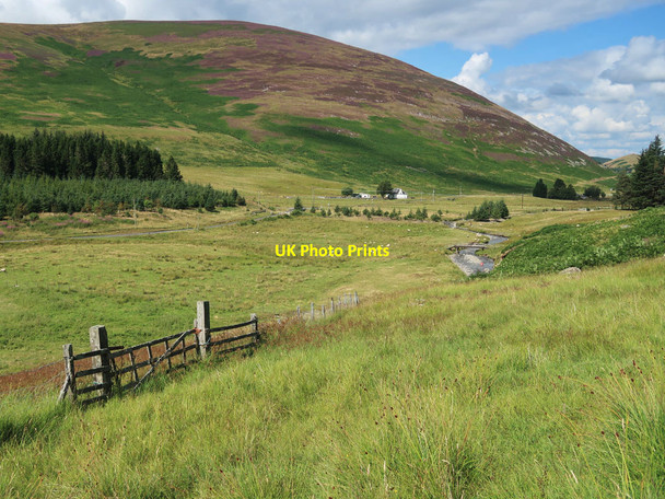 Photo 6"x4" Old gate and fence in Manor valley Langhaugh\/NT2031 c2021