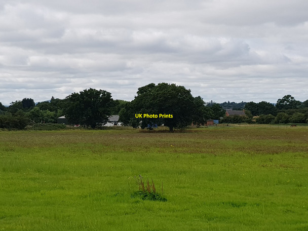 Photo 6"x4" Looking towards Oaktrees Farm, Martin Hussingtree Ladywood\/SO8761 c2021