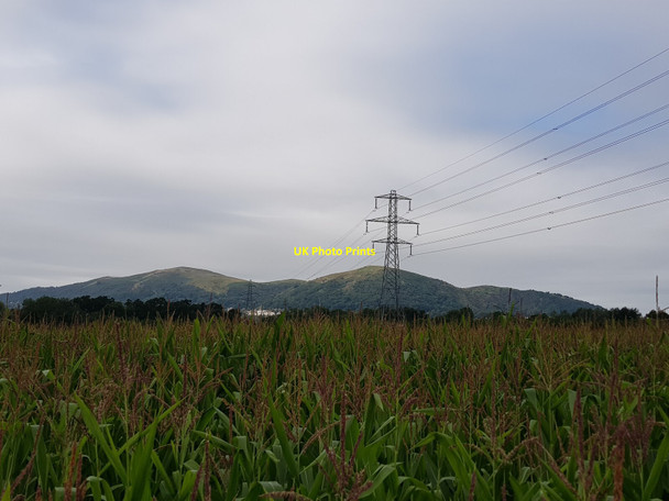 Photo 6"x4" Corn field, pylon and Malvern Hills Great Malvern c2021