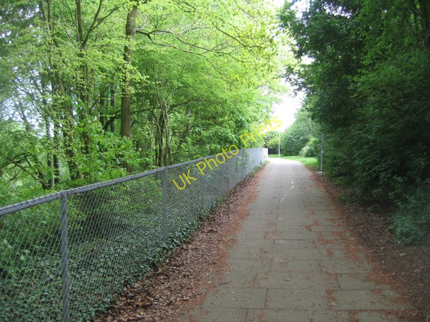 Photo 6"x4" Path and fence Basingstoke c2009
