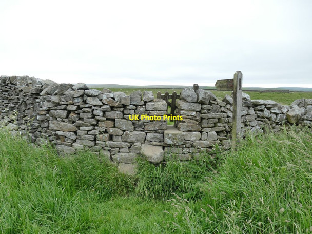 Photo 6"x4" Footpath to Hebden Bridleway Grassington c2021