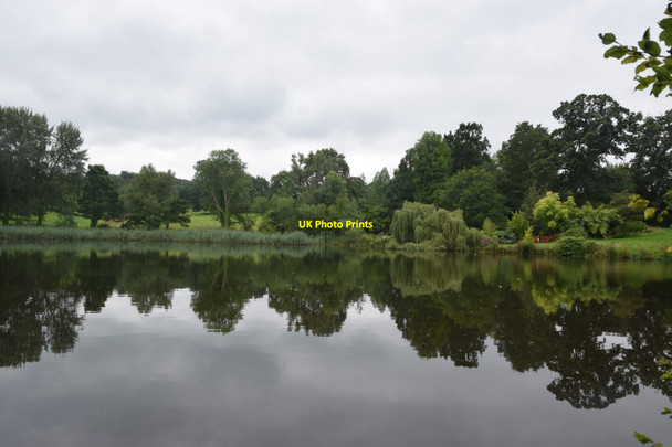 Photo 6"x4" The Great Pond. Forde Abbey Chard Junction c2021