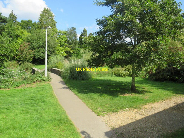 Photo 6"x4" Path in Coy Pond Gardens, Branksome, near Bournemouth Bournemouth c2021