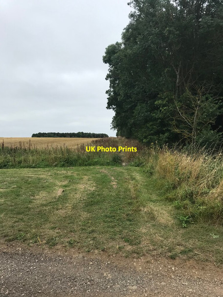 Photo 6"x4" Trackway near Hodnell Manor Ladbroke c2021