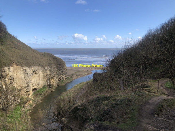 Photo 6"x4" Hawthorn Burn exiting Hawthorn Dene Easington Colliery c2021