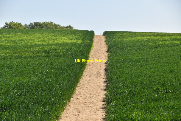 Photo 6"x4" Clear footpath Bayley's Hill c2021