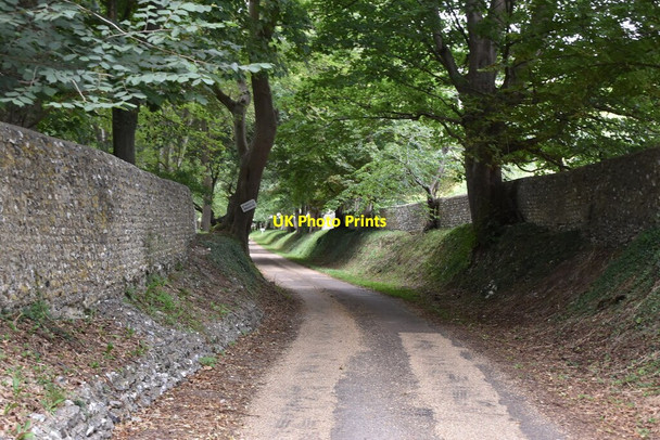 Photo 6"x4" Track to Friston Place East Dean\/TV5598 c2020