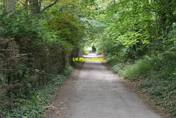 Photo 6"x4" Track, Butchershole Bottom East Dean\/TV5598 c2020