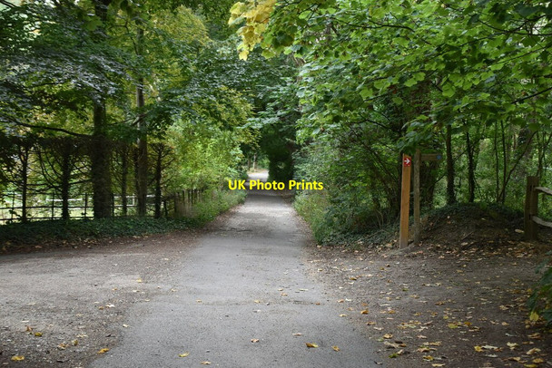 Photo 6"x4" Tracks meet, Friston Forest East Dean\/TV5598 c2020