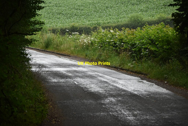 Photo 6"x4" Quiet lane Bolter End c2020