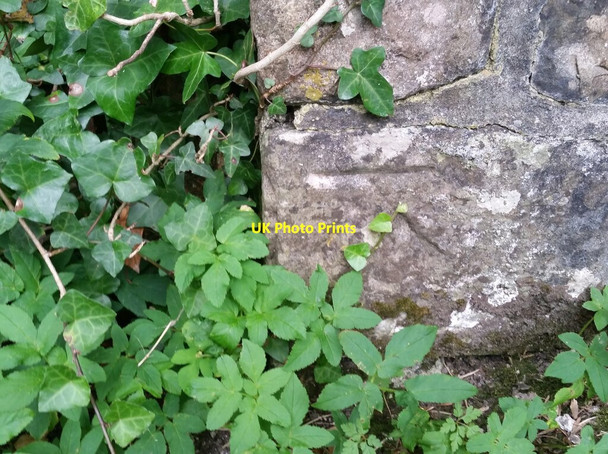 Photo 6"x4" Ordnance Survey Cut Mark Llysworney c2021