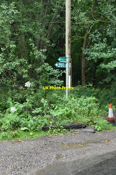 Photo 6"x4" Footpath, Frieth Frieth c2020