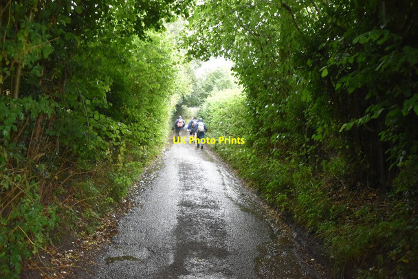Photo 6"x4" Quiet country lane Frieth c2020