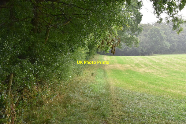 Photo 6"x4" Edge of Moorend Common Moor Common c2020