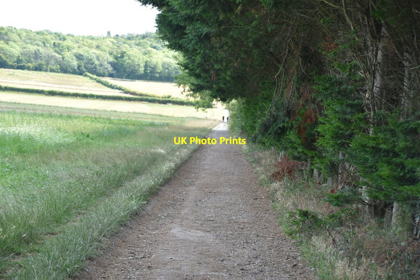 Photo 6"x4" North Downs Way Wye c2020