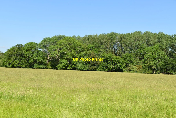 Photo 6"x4" Meadow by River Medway Cinder Hill\/TQ5346 c2021