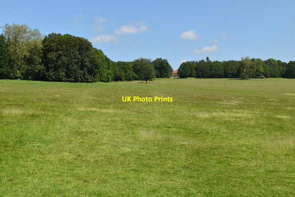 Photo 6"x4" Penshurst Park Penshurst c2021