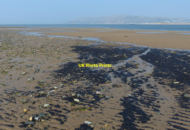 Photo 6"x4" Conwy Sands at the mouth of the River Conwy Conwy c2019