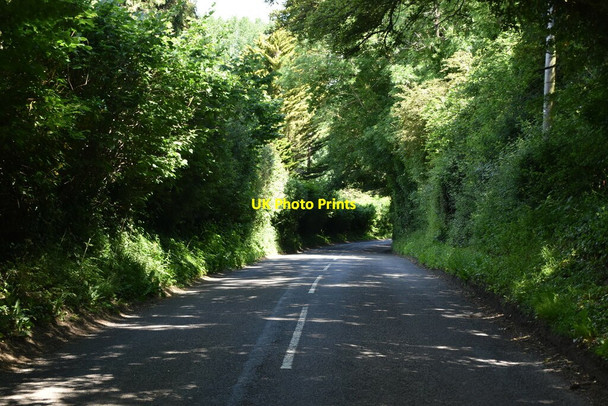 Photo 6"x4" Ensfield Rd Cinder Hill\/TQ5346 c2021 P1