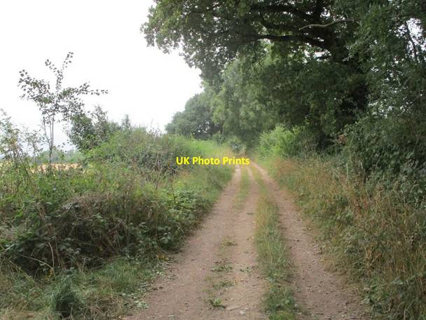 Photo 6"x4" Byway to Carver's Hollow Edingley c2021