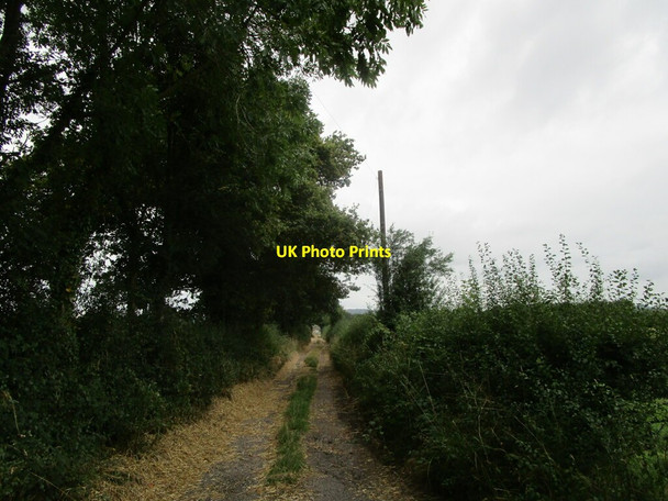 Photo 6"x4" Bridleway to the Oxton bypass Calverton\/SK6149 c2021